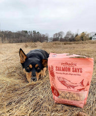 Salmon Says Training Bits - 7oz - Dog Treats