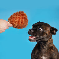 BARK Tavern Turkey Leg Plush Food Dog Toy ALL