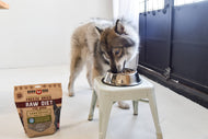 Boss Dog Freeze Dried Raw Diet - Lamb (12oz)