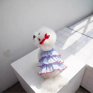 Princess Dress, Blue