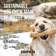 Coffee Wood Dog Chews 1 ct random