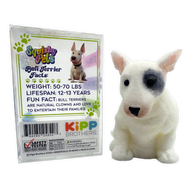 So Much Fun Squishy Pets Keepsake Assortment 1ct random