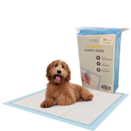 Disposable Pet Pads