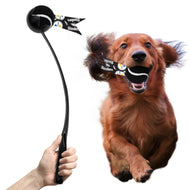 NFL Pittsburgh Steelers Pet Ball Launcher