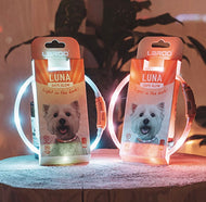 Light Up Collar for dog/cat