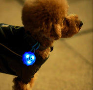 Walking Light for Dogs