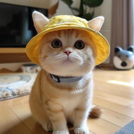 Little Yellow Sun Hat