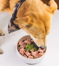 Bones & Co Bark Boost-12 oz, Frozen
