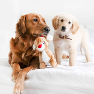ZippyPaws Holiday Deluxe Reindeer