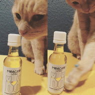 PetWineShop Cat Wine MosCATo Liquid Catnip For Cats