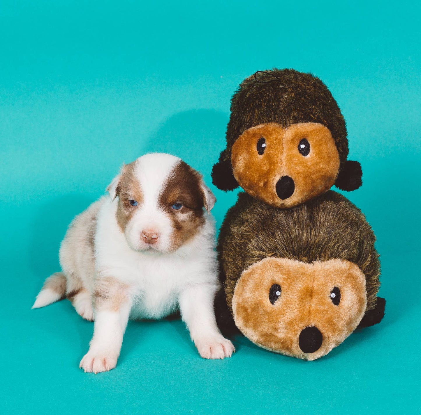 ZippyPaws Hedgehog Large
