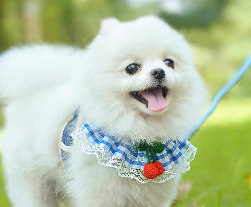 Bib Style Harness + Leash Set