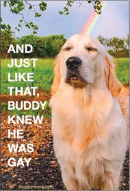 MAGNET: And just like that, Buddy knew