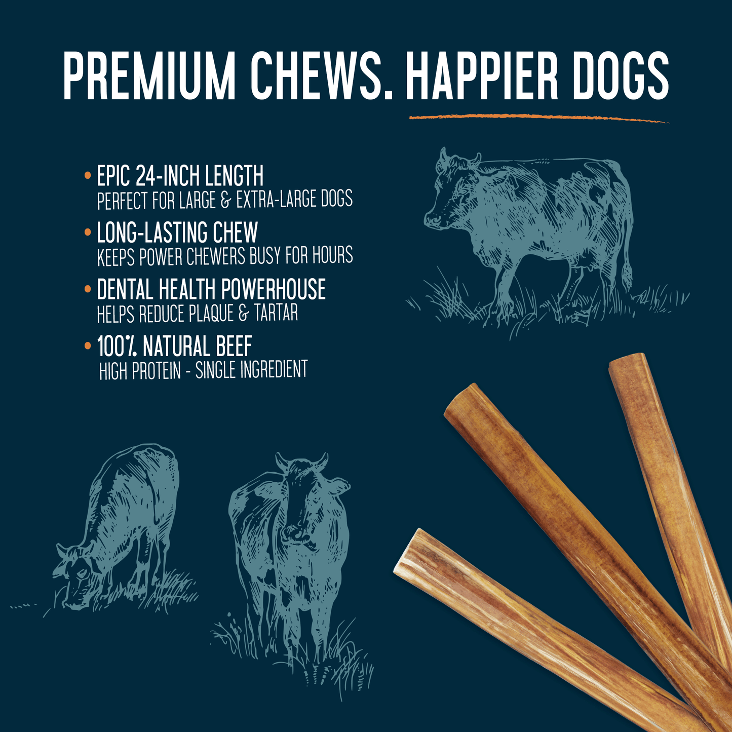 24" Cane Bully Sticks