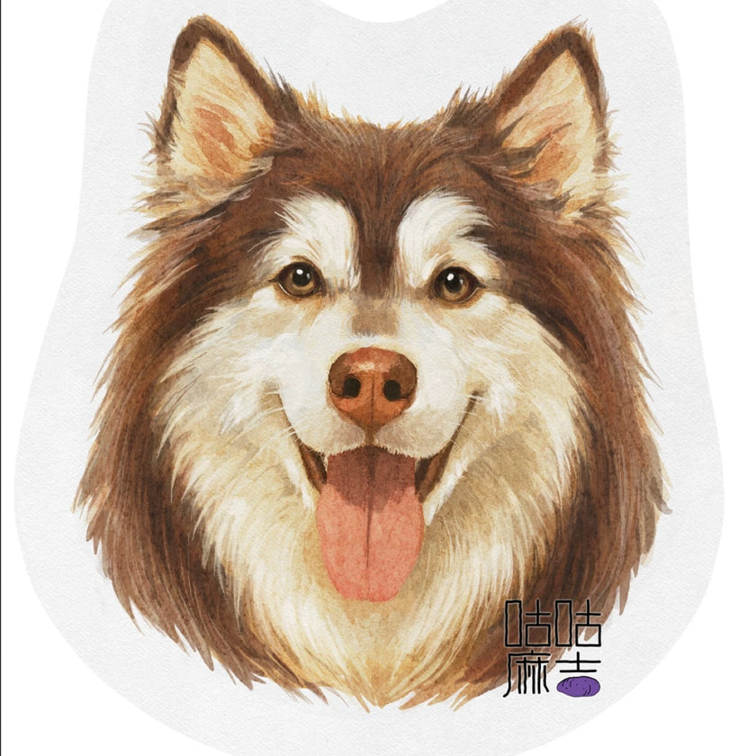 Air Freshener