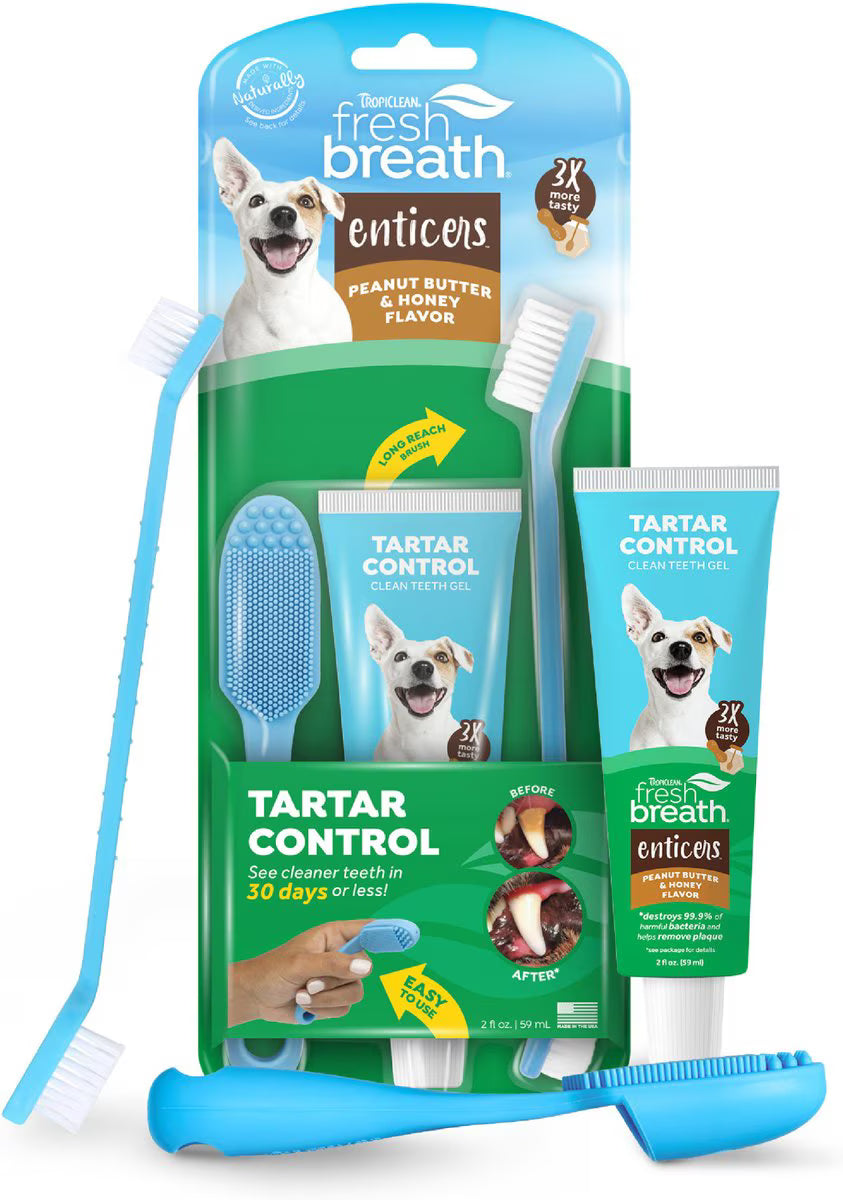 2oz Tropiclean FB Enticers Peanut Butter & Honey Oral Care Kit