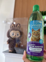 Tropiclean Fresh Breath Dental Water Additive and Urinary Tract Support for Cats, 16 oz