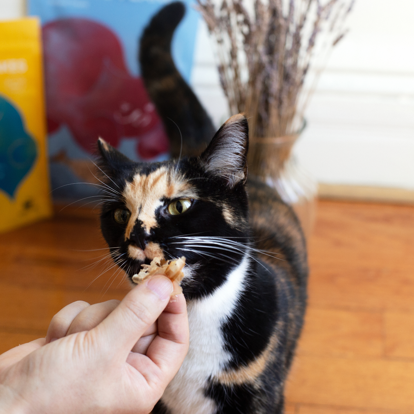Umami Treats: Single Ingredient