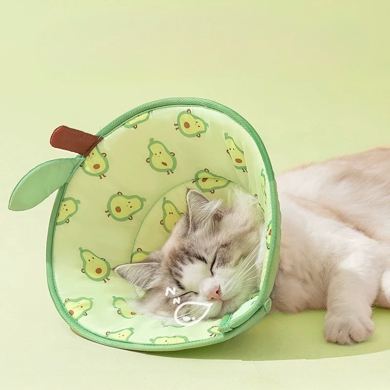Comfy Elizabeth Cone