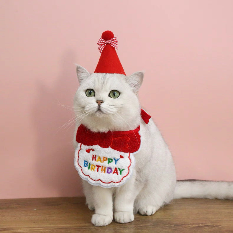 Birthday Bibs