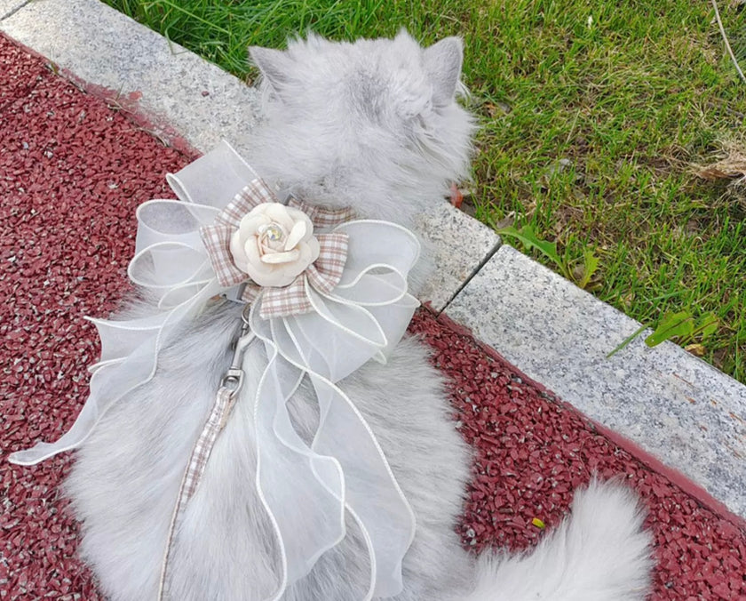 Camellia Series - Small Cat or Small Dog Camellia Flower Outdoor Elegant Adjustable Harness and Leash Set