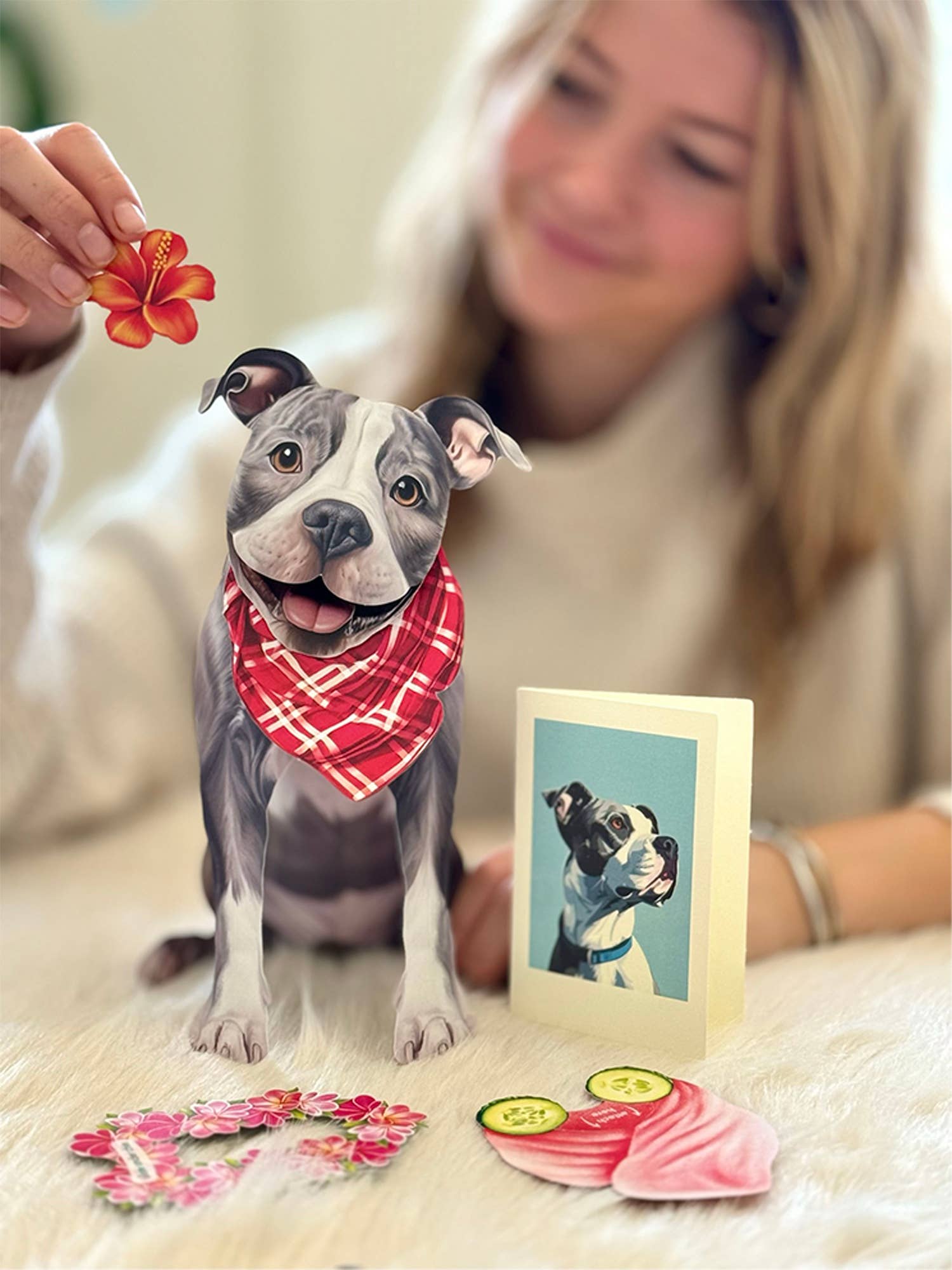 Gray Pitbull 1ct