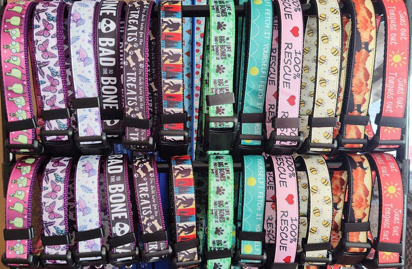 Dog Collar & Leash Sets Doot's Choice of Pattern 1pc random