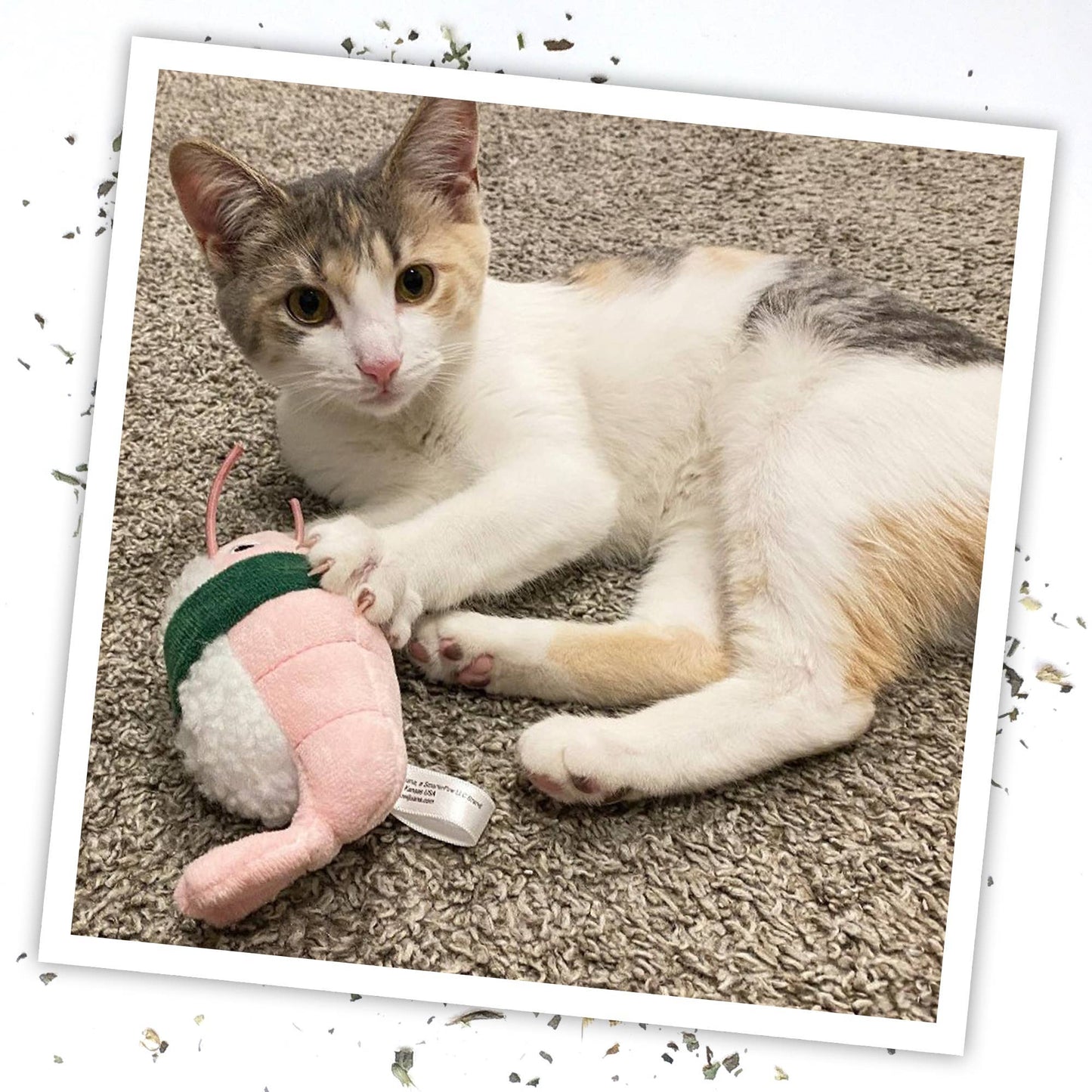 Meowijuana Get Wrapped Sushi Roll Cat Toy