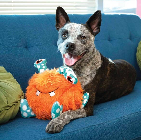 KONG® Whipples Dog Plush Toy Assorted XL