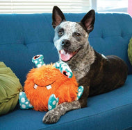 KONG® Whipples Dog Plush Toy Assorted XL