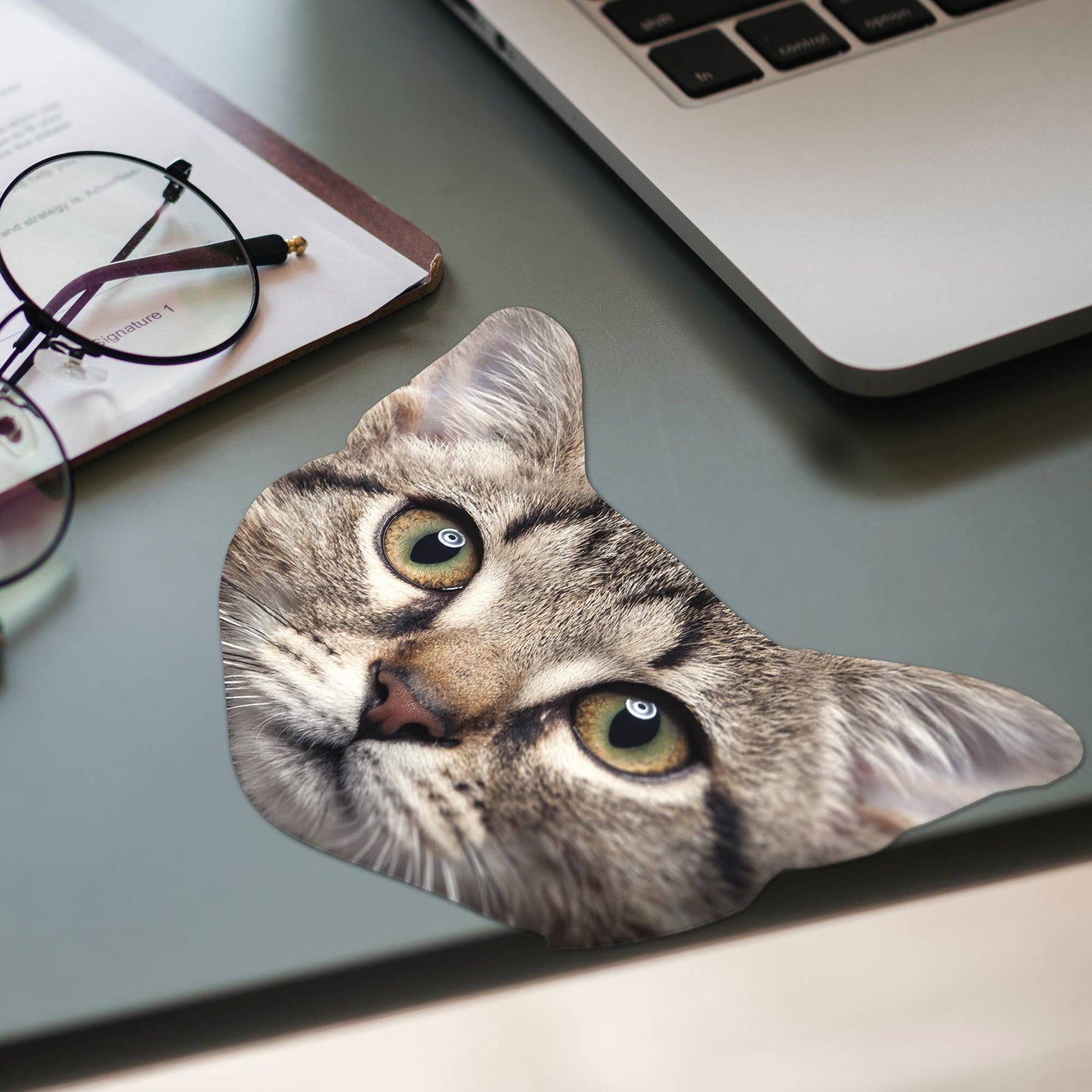 Cat Glasses Cloth 1ct