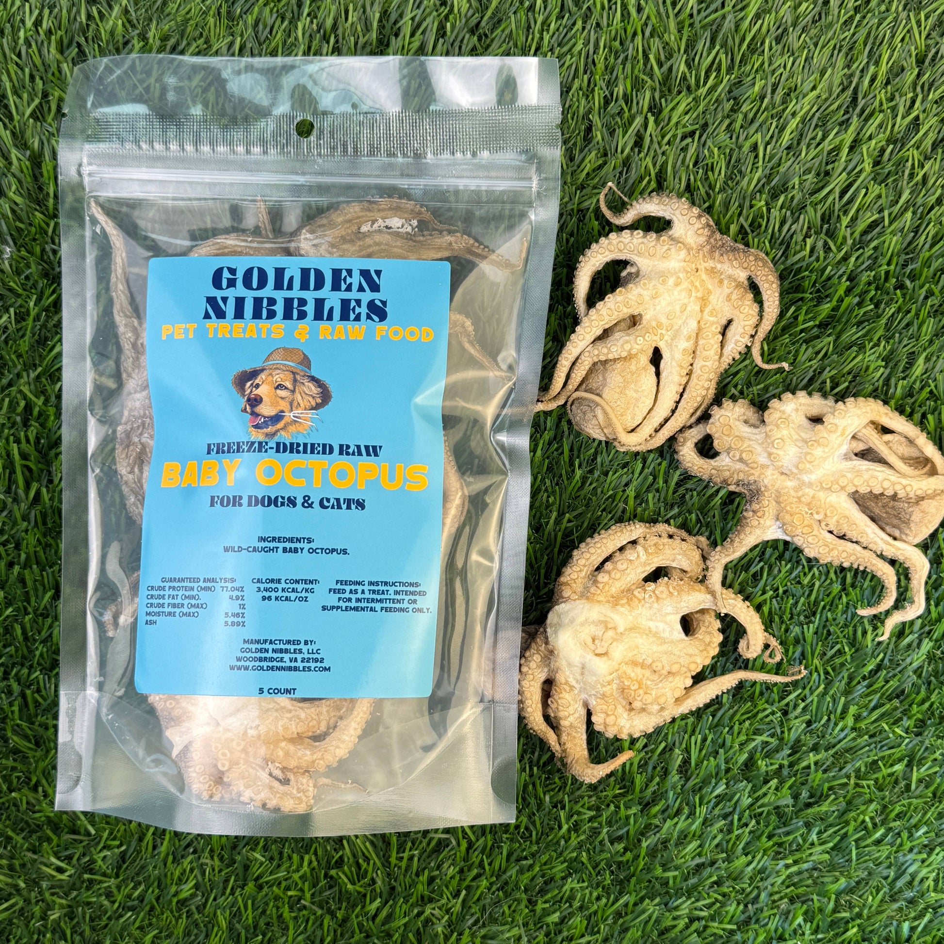Baby Octopus - Bag of 5 - Freeze Dried Treats for Dogs & Cat