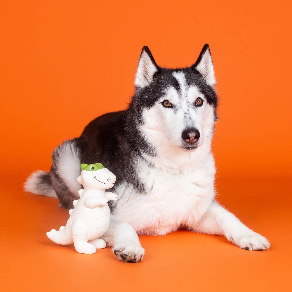 PetShop by Fringe Studio Here To Gauze Trouble Latex Dog Toy