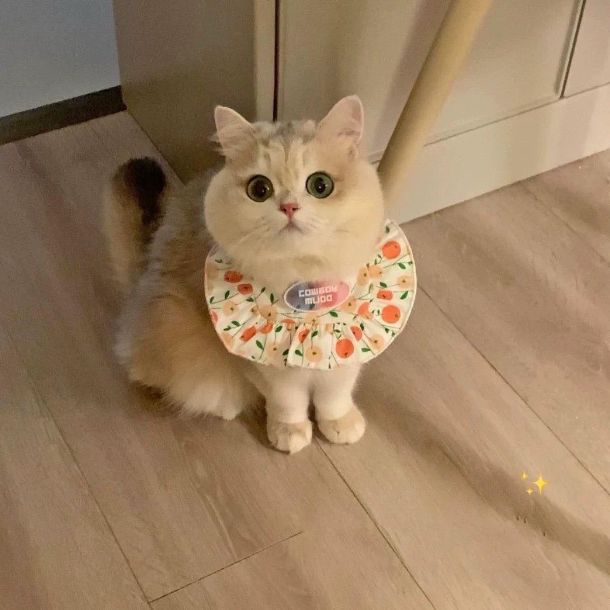 Adjustable Pet Bibs, One Size