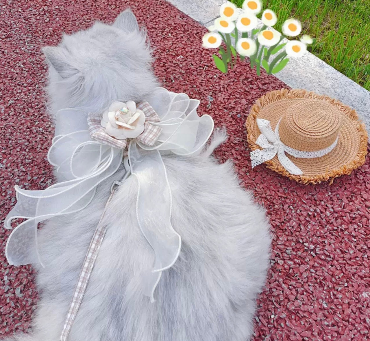 Camellia Series - Small Cat or Small Dog Camellia Flower Outdoor Elegant Adjustable Harness and Leash Set