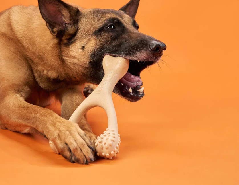 BetterBone Hard Beef Dog Chew Toy Small