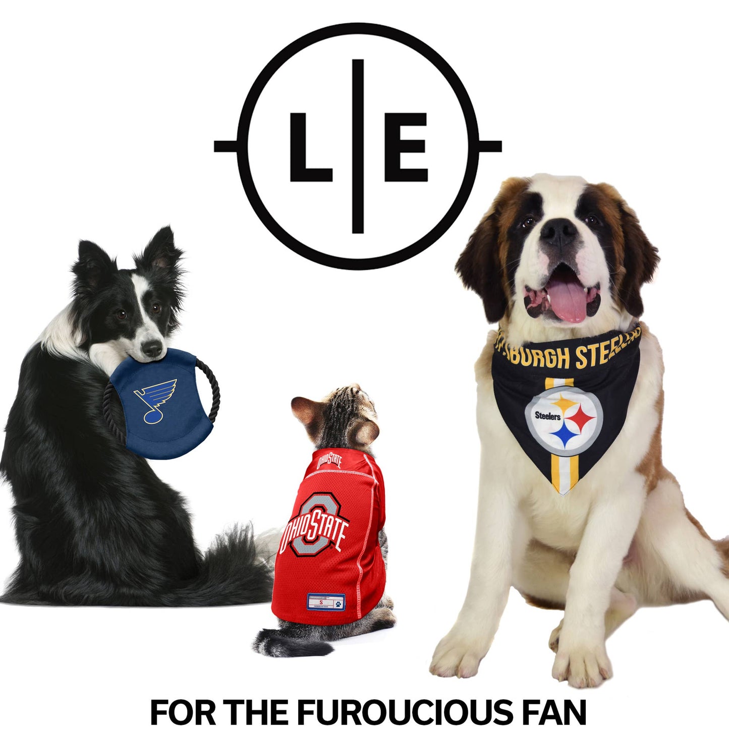 NFL Pittsburgh Steelers Pet Ball Launcher