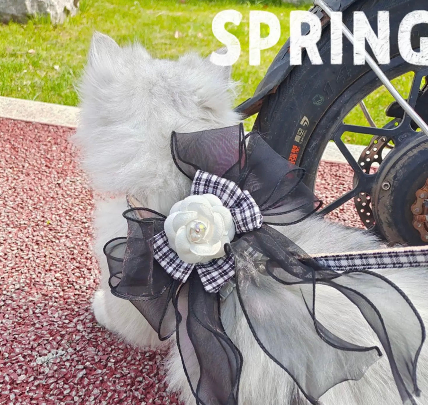 Camellia Series - Small Cat or Small Dog Camellia Flower Outdoor Elegant Adjustable Harness and Leash Set