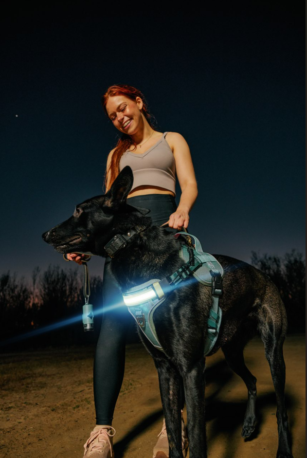 Lumi One - Lighting Your Path at Night!