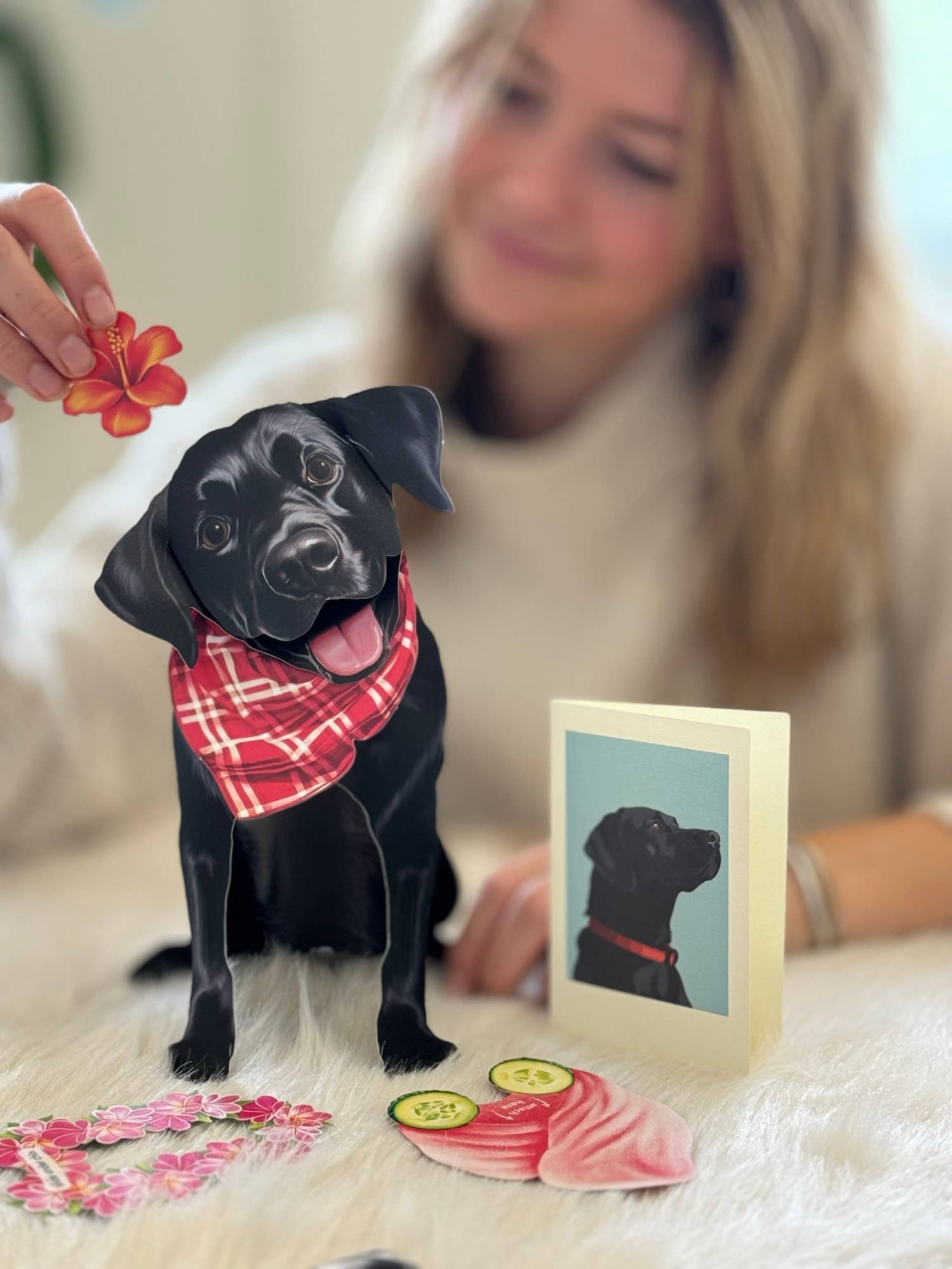 Black Lab (1 Pop-up Greeting Card)