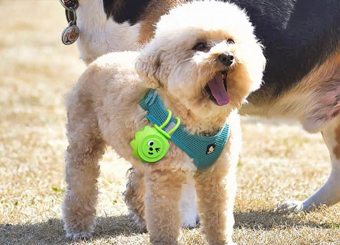 Glow Pup Visibility Light for pets or on backpacks