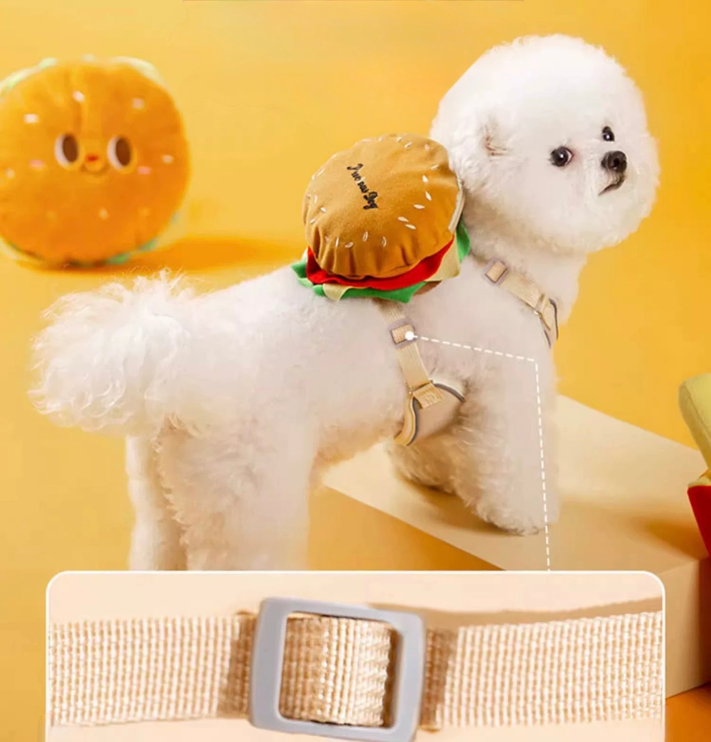 Food Series, Harness + Leash