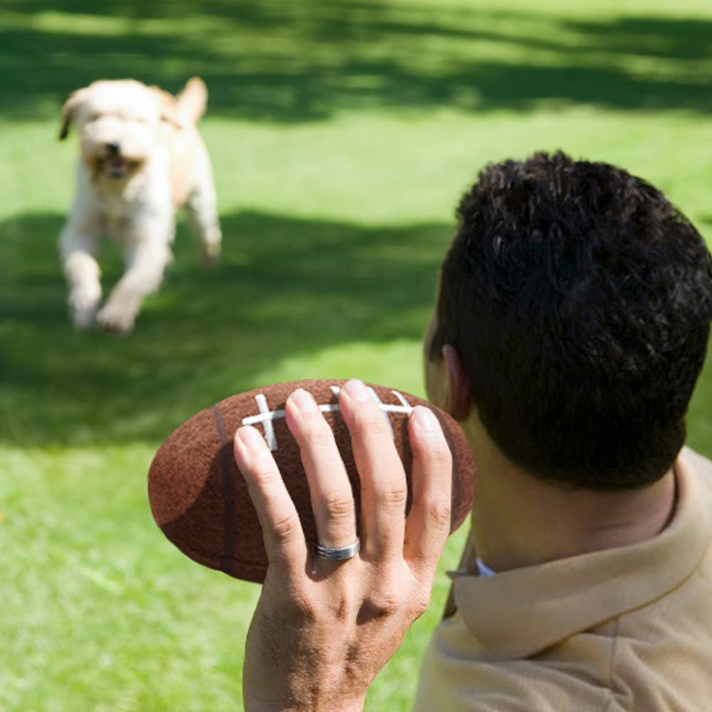 NFL Pittsburgh Steelers Tough Chewer Pet Ball