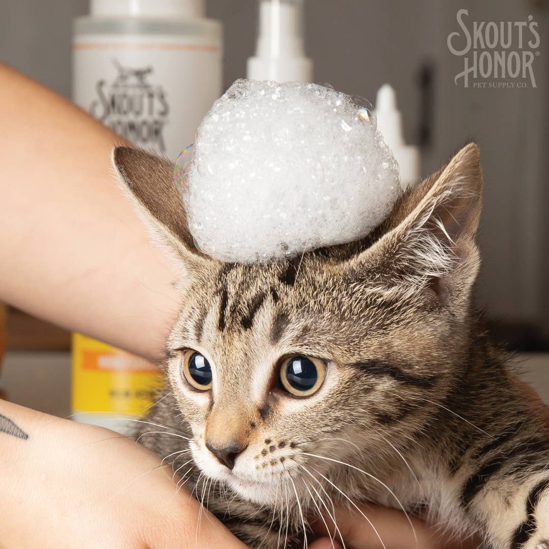 Skout's Honor Cat Shampoo Conditioner Honeysuckle 16oz