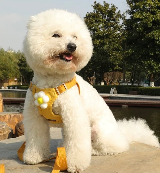Weather Harness