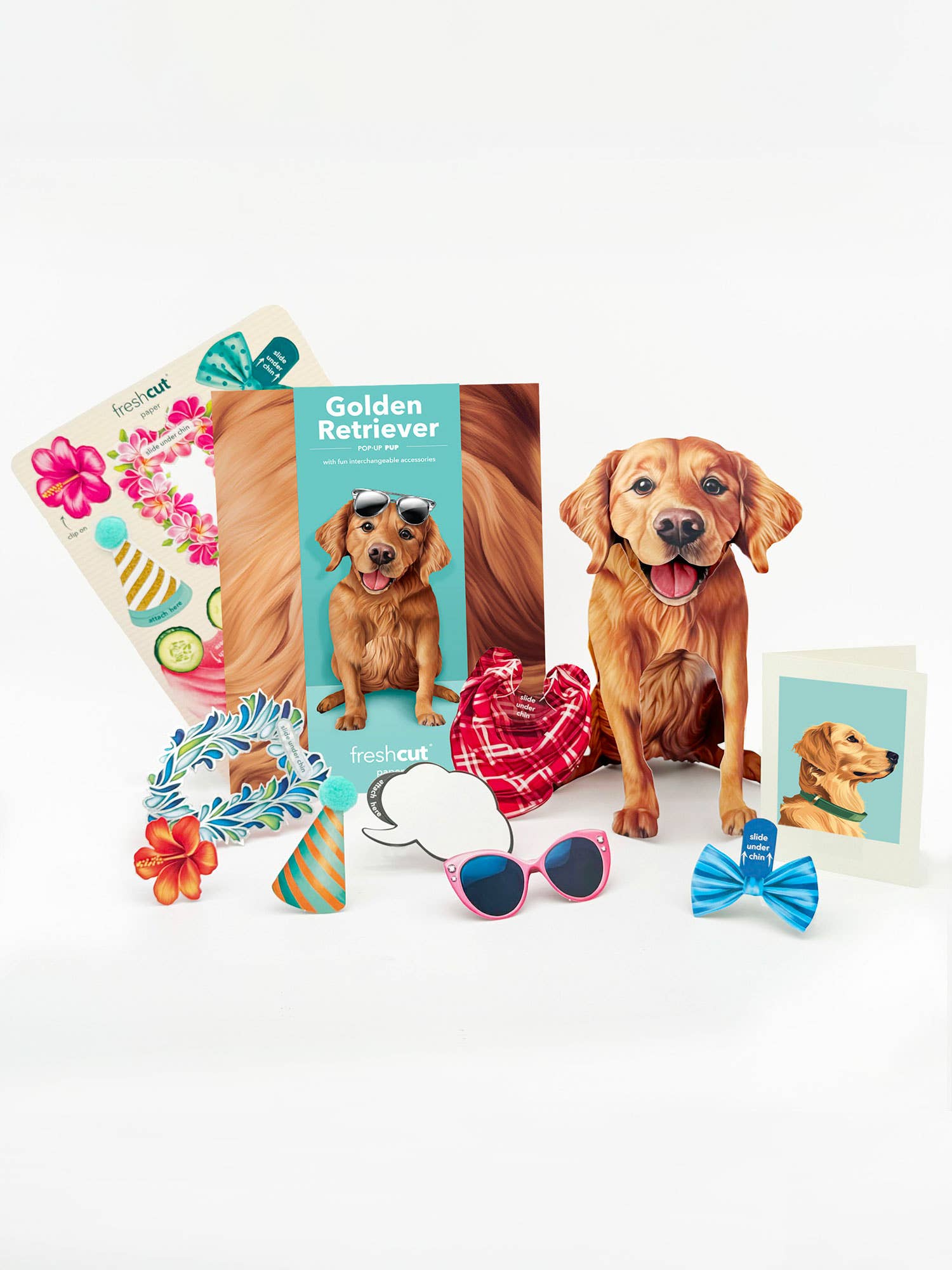 Golden Retriever (1 Pop-up Greeting Card)