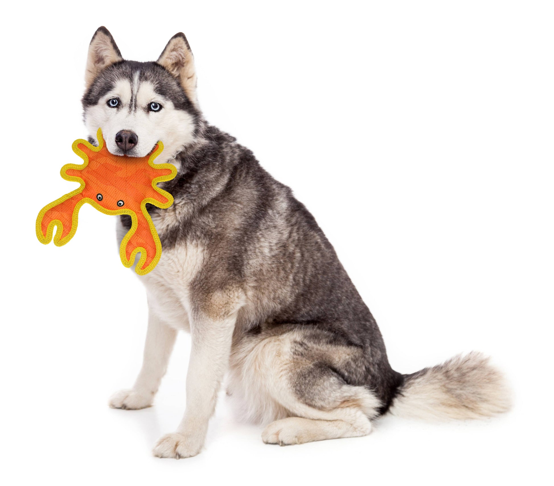 VIP DuraForce Arnold Crab Dog Chew Toy Orange/Yellow 9.8"