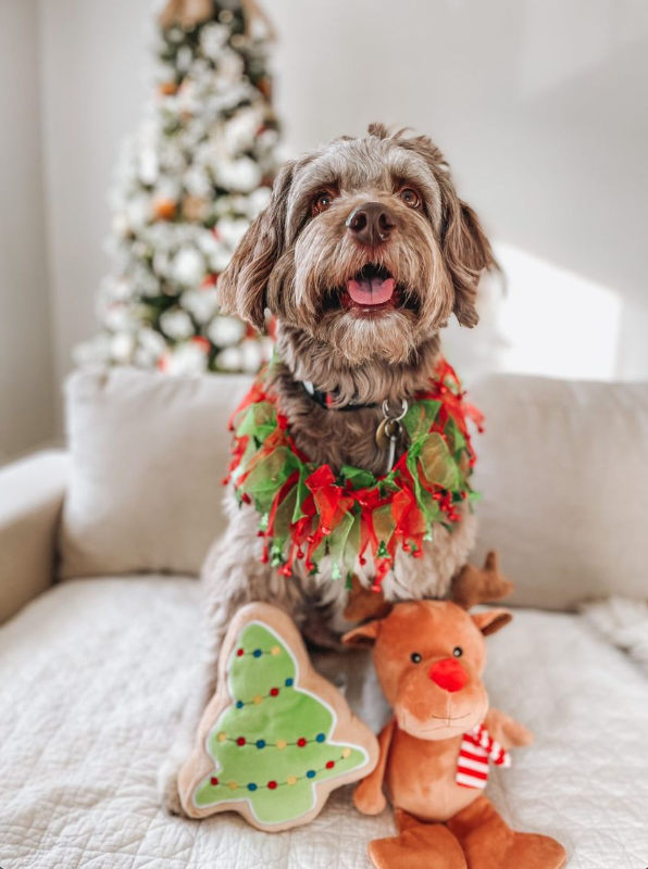 Midlee Christmas Reindeer Plush Dog Toy with Scarf