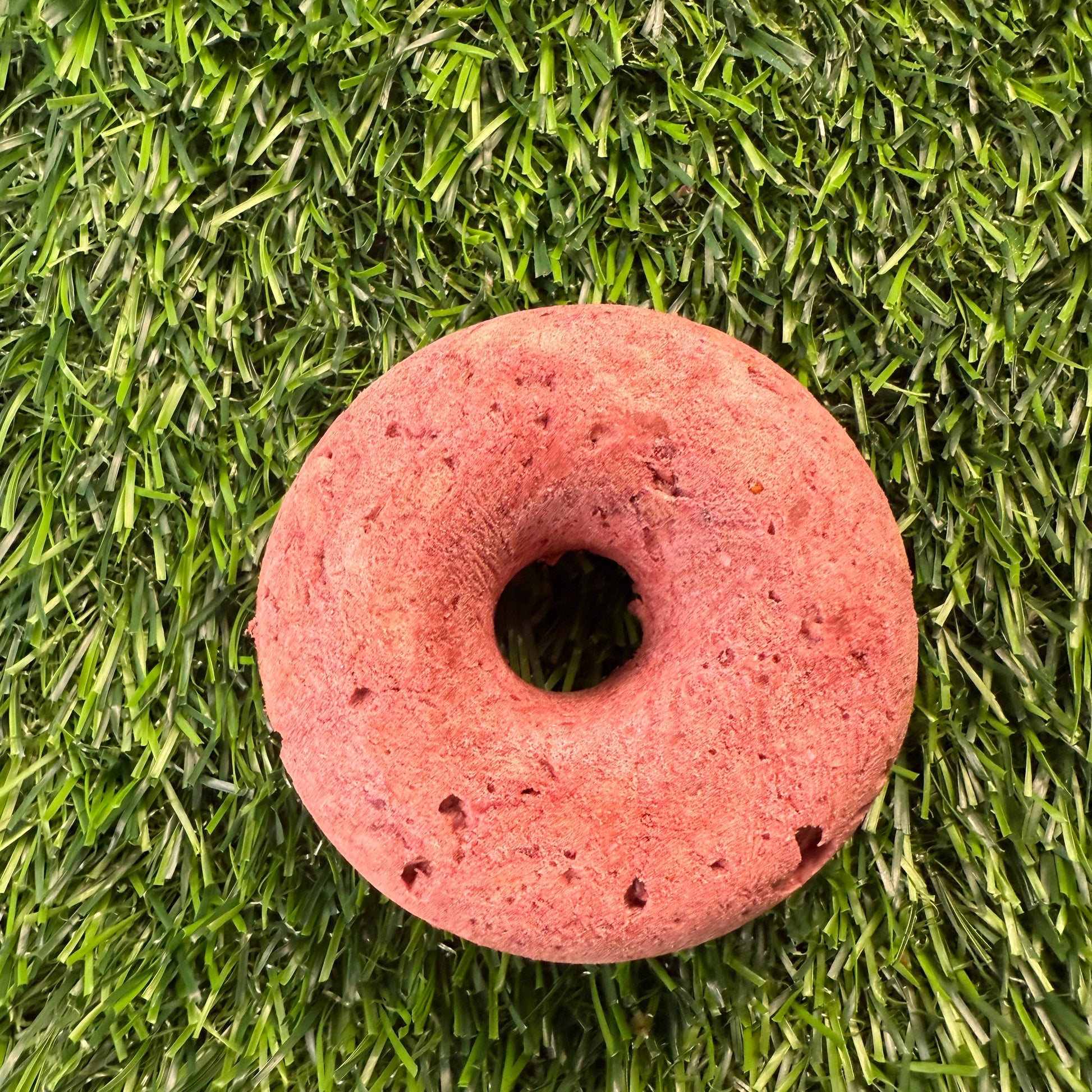 Donut - Turkey & Cran - Freeze-Dried Treat for Dogs & Cats