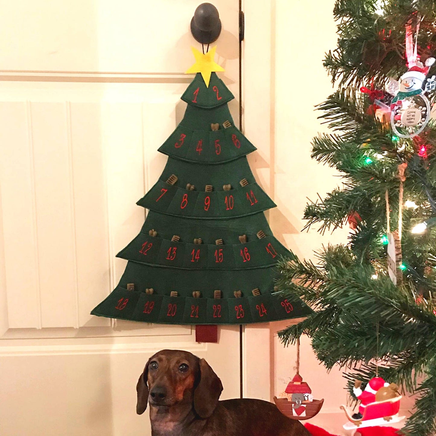 Midlee Christmas Tree Advent Calendar for Dogs